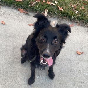 Meet your Posher, Andi